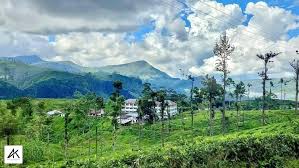 Kahawatte Plantations drives digital shift and green growth 1 Kahawatte 1