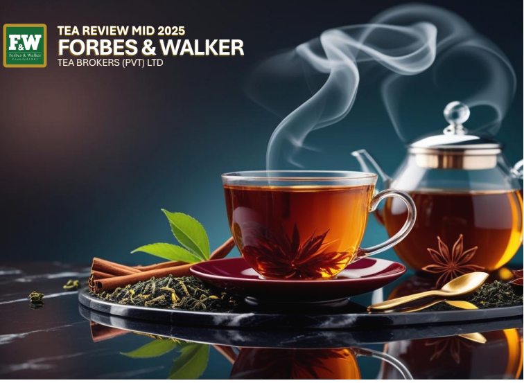 Sri Lanka tea production up 7.78 million kgs in H1 2025 2 tea