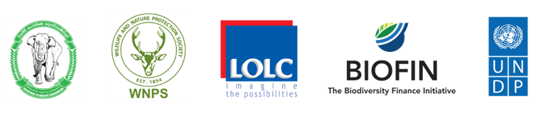 UNDP, WNPS and LOLC launch livestock insurance to protect Sri Lankan leopard 1 undp