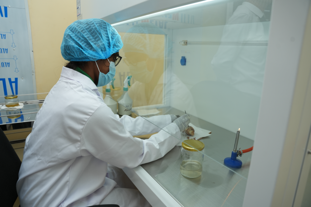 Banana Tissue Culture Laboratory launched to boost fruit value chain development 2 IMAGE 4 final